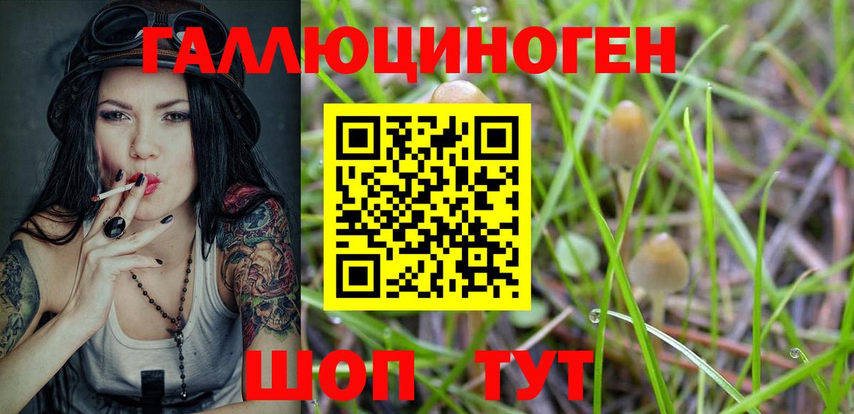 Псилоцибиновые грибы мухоморы Вязники