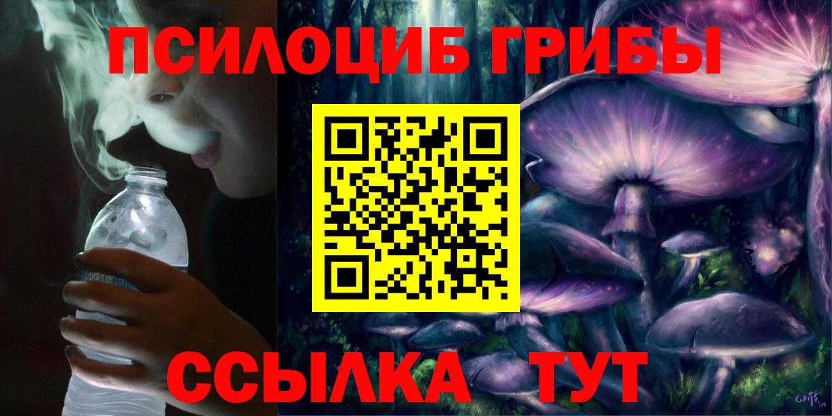 Псилоцибиновые грибы Psilocybe  Вход с VPN  Вязники 